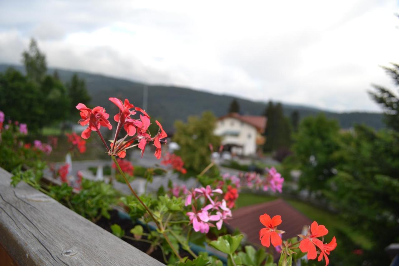 Gasthof Zum Gruenen Baum Verano Exterior foto